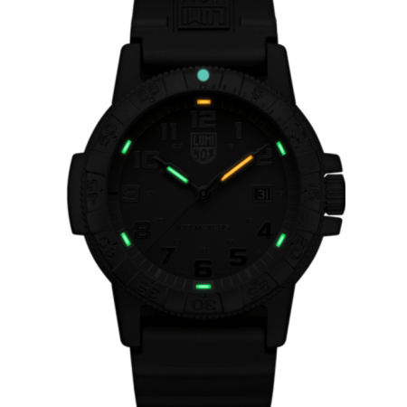Leatherback Sea Turtle Giant 0320 Series 0321bo 1.png
